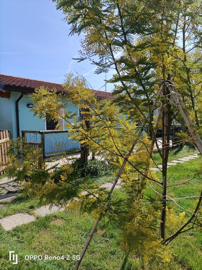 Casa Oasi Lejlighed Villa Cameroni Eksteriør billede
